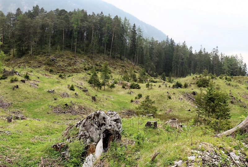 Zäunen auf der Biberwier-Alm