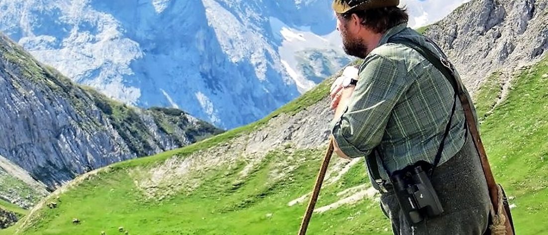 Almhirt Norbert Kluckner beim Viehauftrieb ins Felderer Tal. (Foto: Michael Sonnweber)