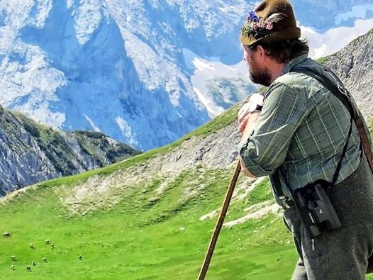 Almhirt Norbert Kluckner beim Viehauftrieb ins Felderer Tal. (Foto: Michael Sonnweber)