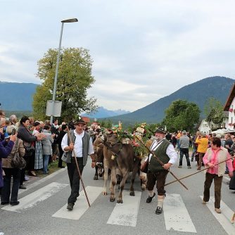 Über zweitausend Menschen applaudierten zur Ankunft der Hirtenfamilie Schuchter und dem Almvieh. (Foto: Knut Kuckel)