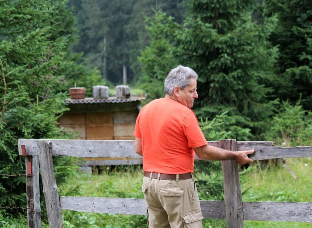 Imker Oskar Burgschwaiger regiert 45 Bienenvölker im Tiroler Gaistal. (Foto: Knut Kuckel)