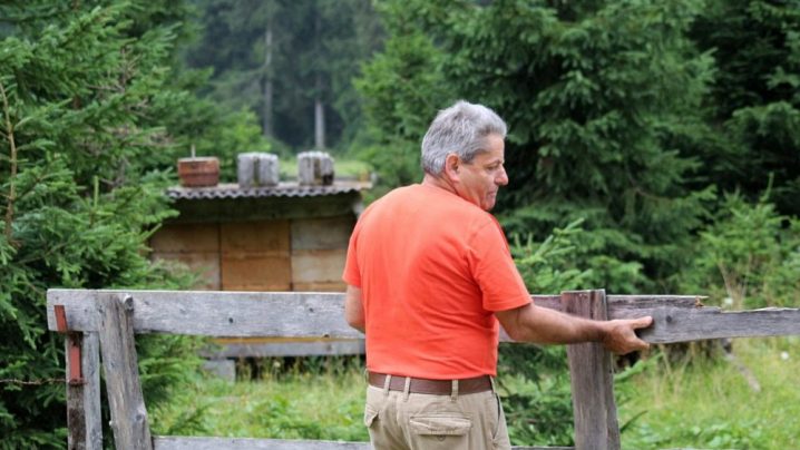 Imker Oskar Burgschwaiger regiert 45 Bienenvölker im Tiroler Gaistal. (Foto: Knut Kuckel)