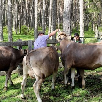 Almhirt Andreas Rott und Michael Wallnöfer treffen Vorbereitungen für den Almauftrieb. (Foto: Knut Kuckel)