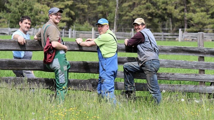 Obermieminger Almbauern beim Zäunen, von links, Franz Kapeller, Andreas und Klaus Scharmer, Josef Sonnweber. (Foto: Knut Kuckel)