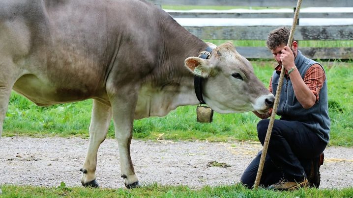 Zeit zum Kennenlernen. Martin Reich und sein Freund Fabio Riml sind die neuen Feldernalmhirten. (Foto: Knut Kuckel)