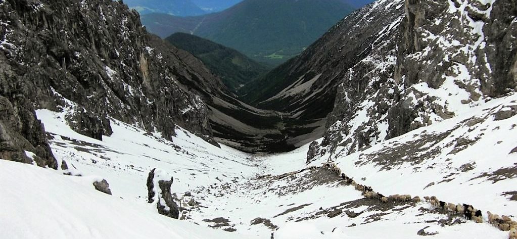 Schnee machte den Weg über die Grünsteinscharte beschwerlich. (Foto: Hermann Neuner)