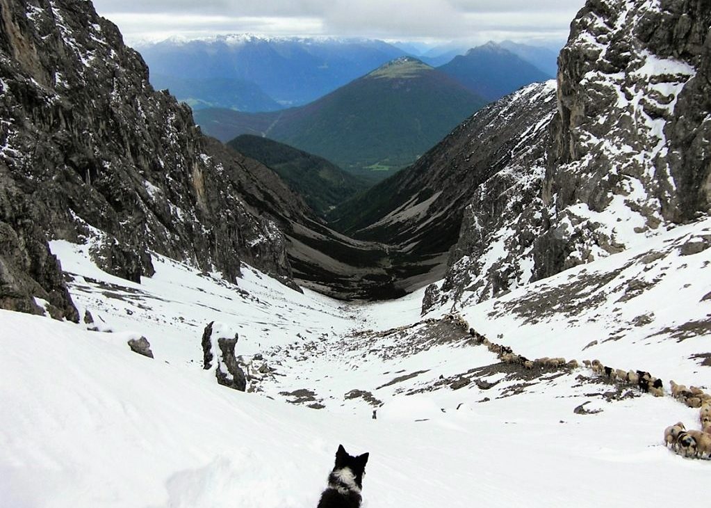 Schnee machte den Weg über die Grünsteinscharte beschwerlich. (Foto: Hermann Neuner)