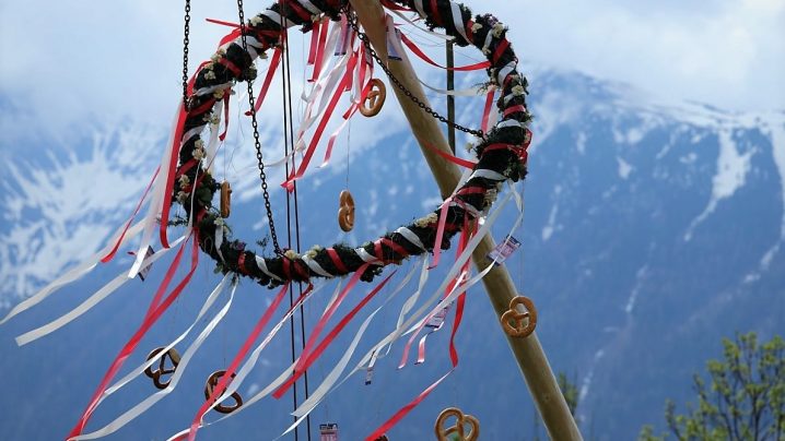 Die 26 Meter hohe Fichte vom Maibaum-Bichl im Mieminger Ortsteil Barwies will hoch hinaus. (Foto: Knut Kuckel)