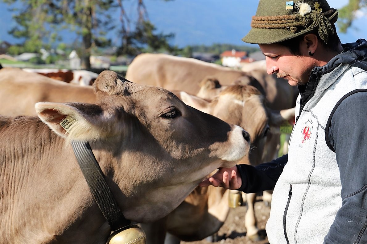 Die Hirten der Hochfeldernalm versorgen schon seit Mitte Mai auf der Voralm in Obermieming das Vieh. (Foto: Knut Kuckel)